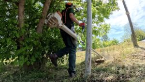 A Palota-Holding munkatársa motoros fűkaszával végzi a zöldterület karbantartását egy füves, fákkal szegélyezett területen. A képen a munkavégzés közben látható személy védőfelszerelést visel, miközben a lejtős partszakasz növényzetét nyírja. A háttérben lombos fák, bokrok és egy közvilágítási oszlop látható napos időben.