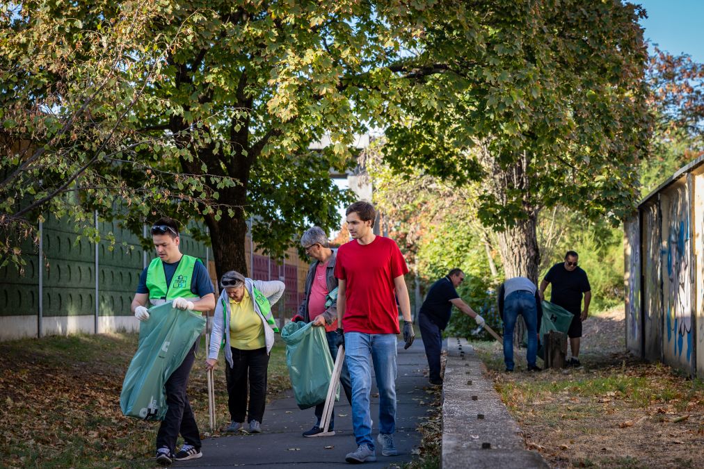 Önkéntesek zöld szemeteszsákokkal és hulladékszedő eszközökkel egy fás, garázsokkal szegélyezett gyalogút mentén gyűjtik össze az eldobott hulladékot. Többen egyszerre dolgoznak a járdán és a füves területen, a háttérben további résztvevők takarítják a közterületet.